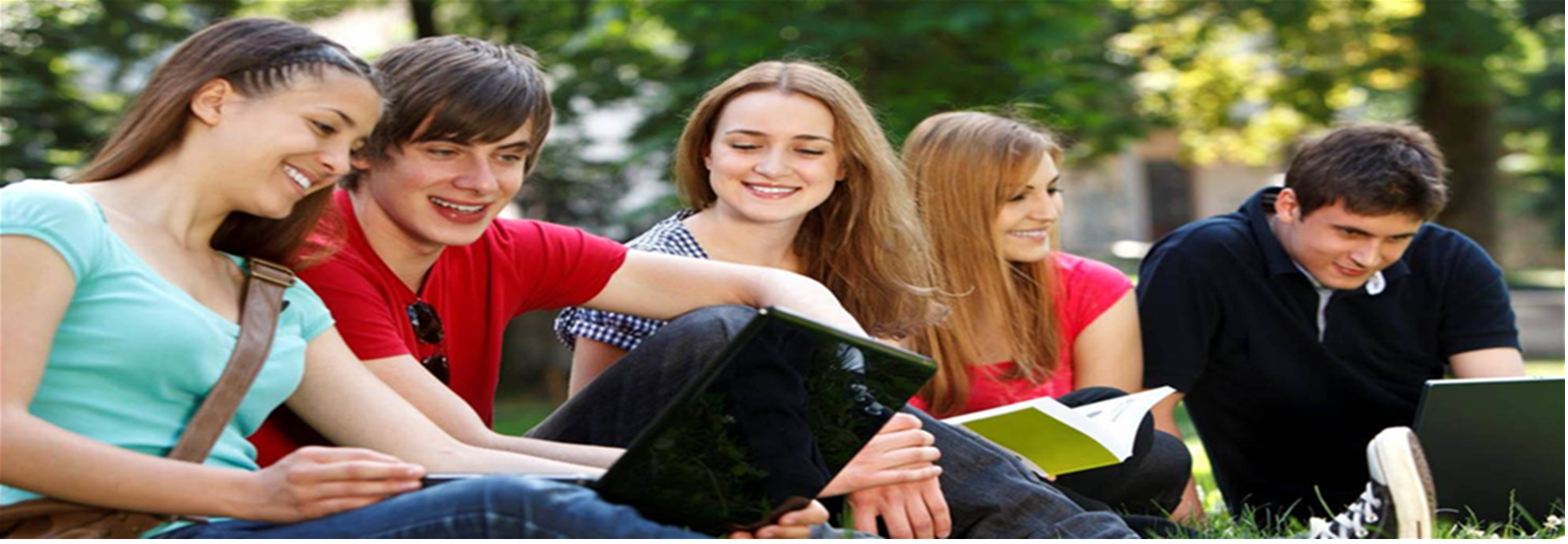 buy essay online